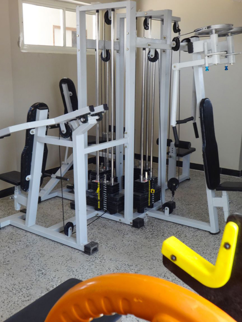 Gymnasium in Noida sector-126.